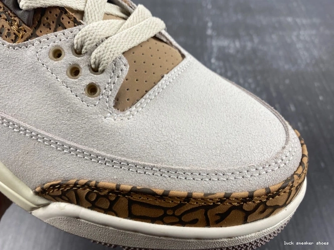 Reps LUCY Palomino 3 Air CT8532-102 Jordan 0816